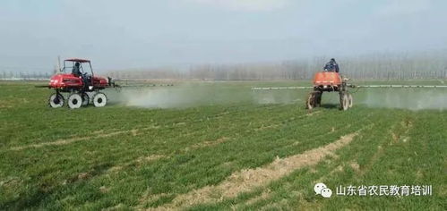 郯城縣春季農(nóng)業(yè)科技服務創(chuàng)新轉型使大招