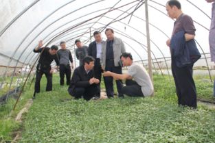 我?？萍脊ぷ髡呱祥T服務現(xiàn)代農(nóng)業(yè)企業(yè)