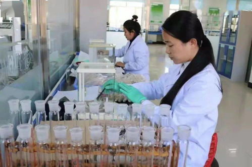 七星農(nóng)業(yè)技術推廣中心入選全國星級基層農(nóng)技推廣機構