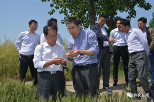 支招 省農(nóng)科院專家送科技到田頭