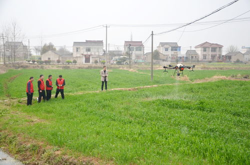 省農(nóng)機(jī)推廣站來(lái)我市開展省 市 縣農(nóng)機(jī)科技志愿服務(wù)大聯(lián)動(dòng)