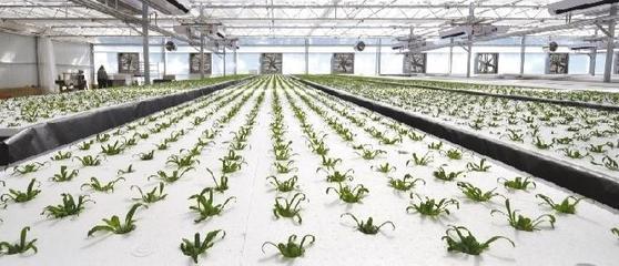 看新民如何為民企成長(zhǎng)厚植土壤