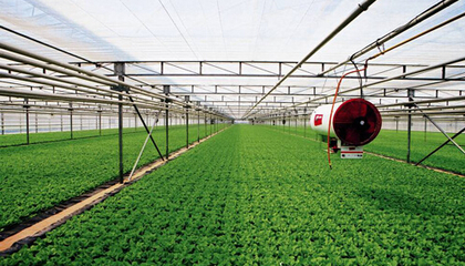 甘肅白銀市平川區全力構建現代化農業服務體系