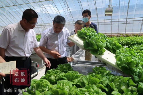 新華社遼寧分社采訪組來我市采訪 三農(nóng) 工作