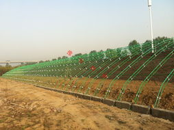 鋼管鍍塑大棚溫室建造 設計價格 鋼管鍍塑大棚溫室建造 設計型號規(guī)格