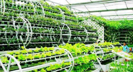 生態(tài)農業(yè)和旅游有機結合的方式?