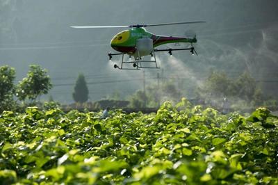 重磅|看京東、金少江、百果園、順豐如何淘金智慧農業(yè)