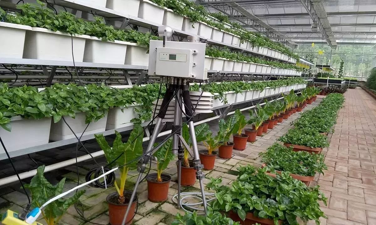 原來農(nóng)業(yè)這么&ldquo;高大上&rdquo;,為您盤點精準(zhǔn)農(nóng)業(yè)領(lǐng)域的10項尖端技術(shù)_科技_網(wǎng)