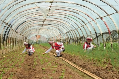 聚焦黨代會 | 五華奮力譜寫區(qū)域性國際中心城市高品質(zhì)核心區(qū)建設(shè)嶄新篇章