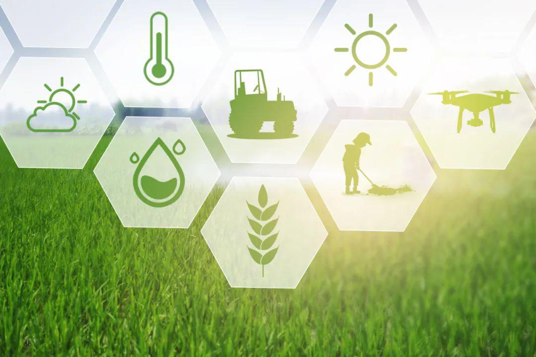 朗新科技為農(nóng)業(yè)插上數(shù)字化的翅膀