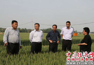 河南農業大學 科技套餐送達田間地頭，精準服務助推鄉村振興