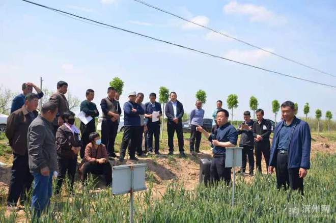 科技特派員賦能濱州田野，精準服務播撒鄉村振興新希望