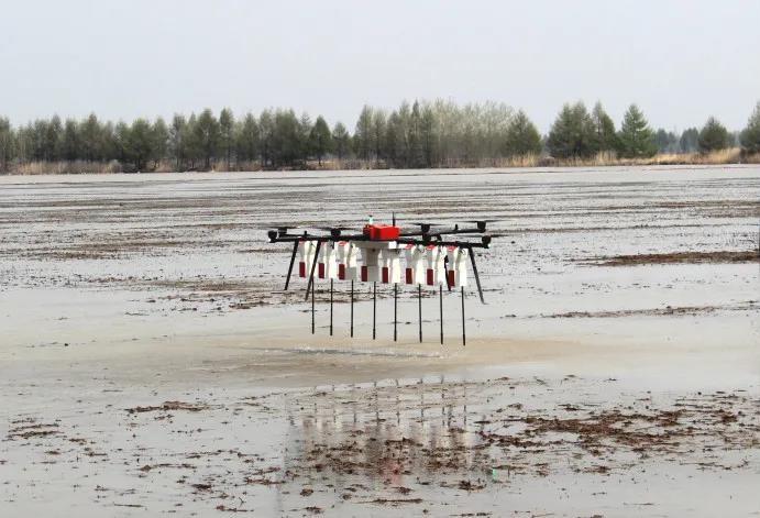 《“十三五”農業農村發展成就斐然，農業機械化與科技服務引領現代農業新篇章》